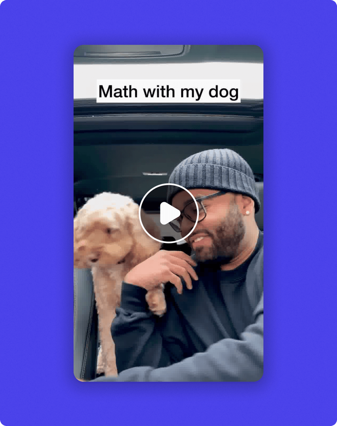 chewy_dog-math